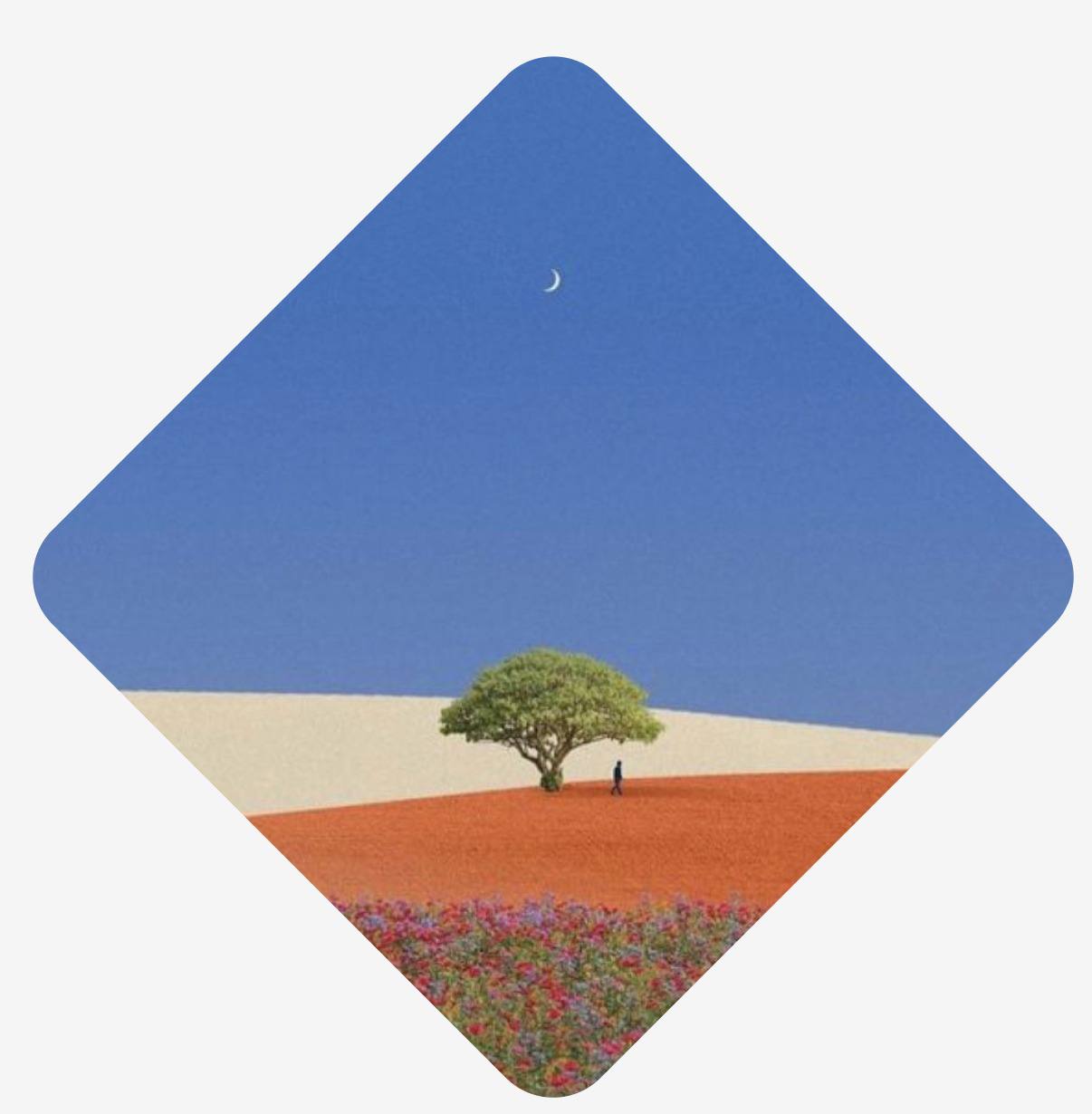 Lone tree in a desert landscape — file your claim with JustClaim